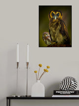 Owl Poster och Canvastavla
