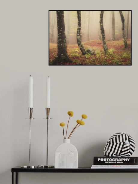Signs of autumn Poster och Canvastavla