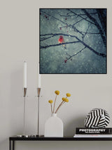 Snowing Poster och Canvastavla