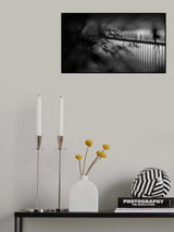 Night street Poster och Canvastavla