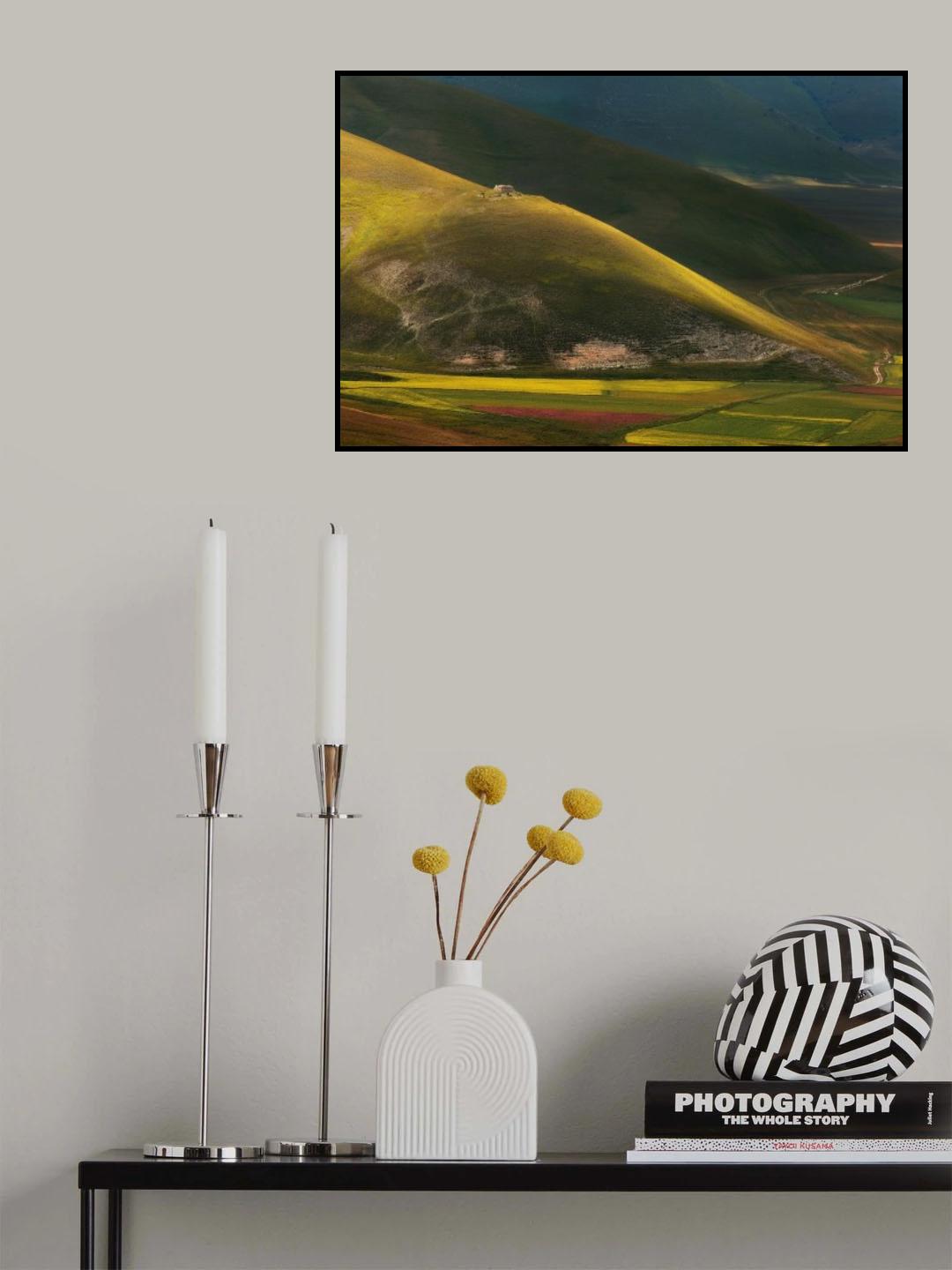 lights and shadows Poster och Canvastavla