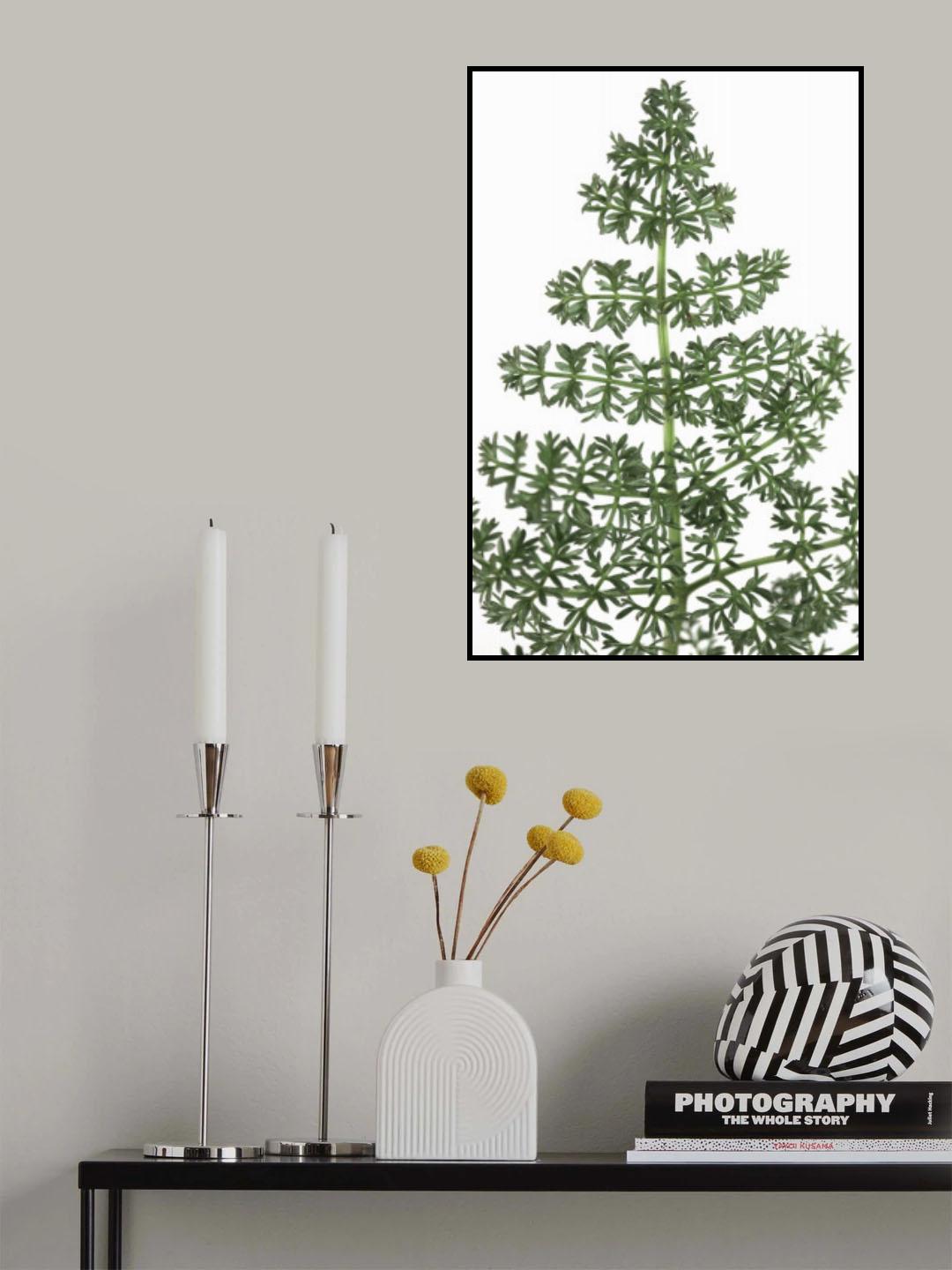 Green dainty leaves Poster och Canvastavla