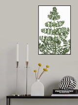 Green dainty leaves Poster och Canvastavla