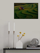 Light in Home Poster och Canvastavla