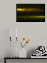 Light &amp; Single Tree Poster och Canvastavla
