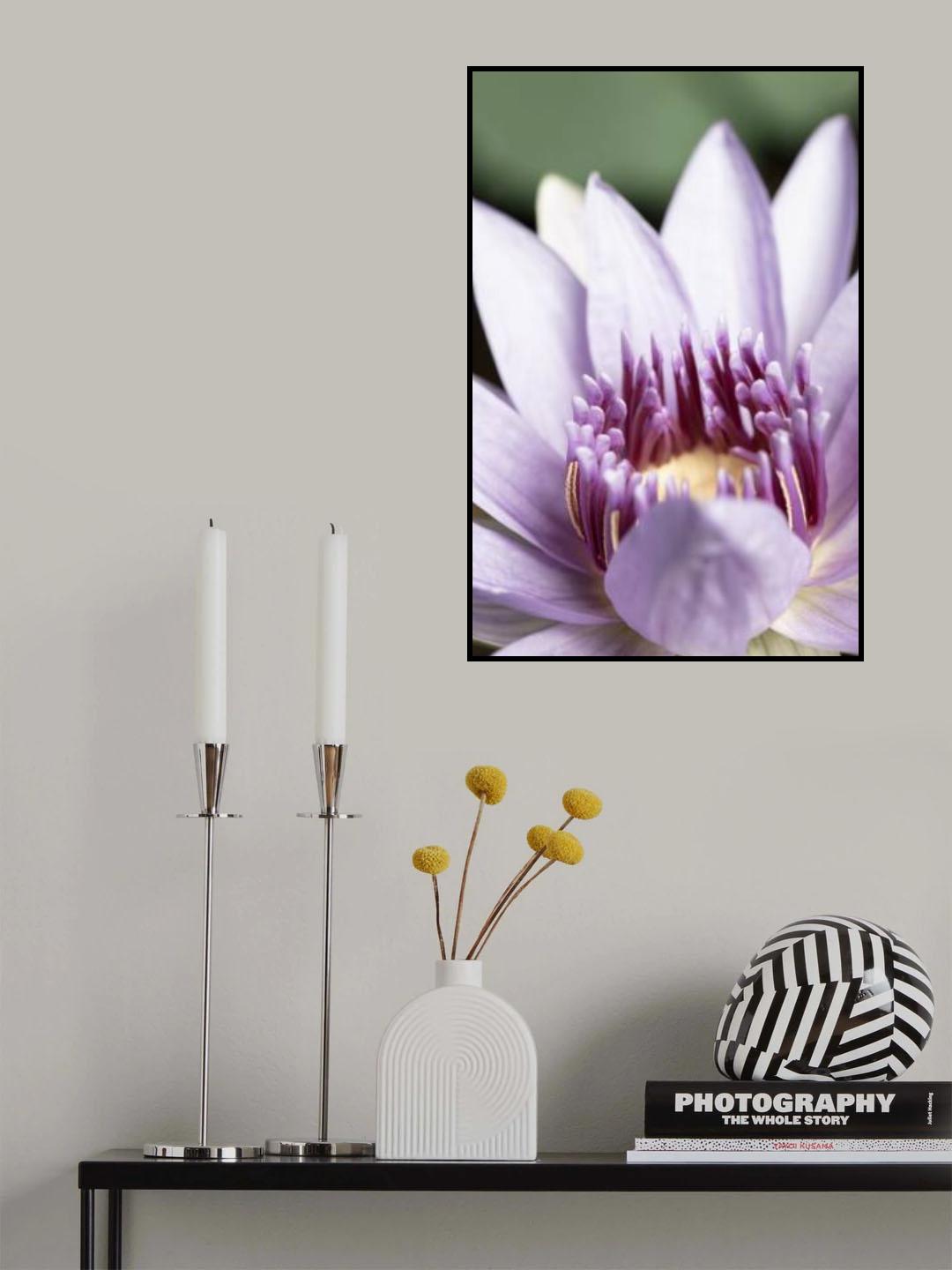 Purple flower close up Poster och Canvastavla