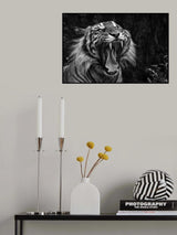 Roar Poster och Canvastavla
