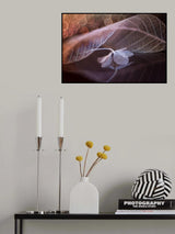 Melody of Ephemeral Love Poster och Canvastavla
