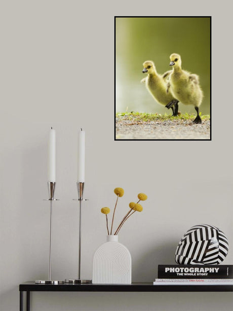 1, 2, 3, Go! Poster och Canvastavla