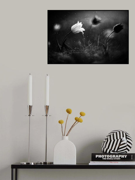 Steppe flower Poster och Canvastavla