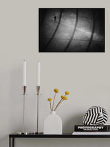 Following my Shadow Poster och Canvastavla