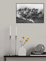 Galloping Poster och Canvastavla