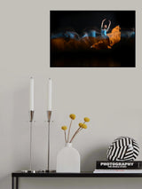 Jump Poster och Canvastavla