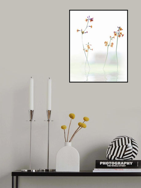 petite fleur .... Poster och Canvastavla