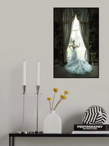 Grey dress Poster och Canvastavla