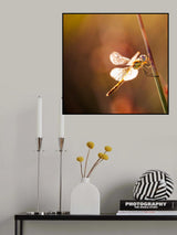 Light on me Poster och Canvastavla