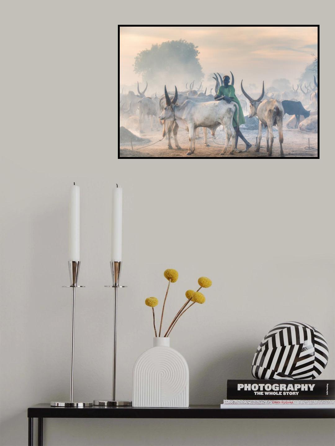 Dinka herder Poster och Canvastavla