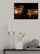 Balinese Dancer Poster och Canvastavla