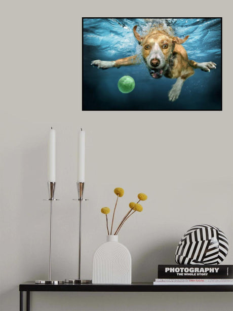 UnderDog Poster och Canvastavla