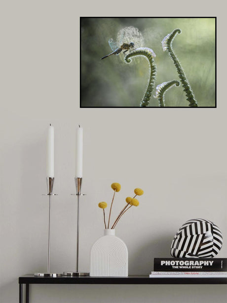 Dragonfly and Wildflowers Poster och Canvastavla