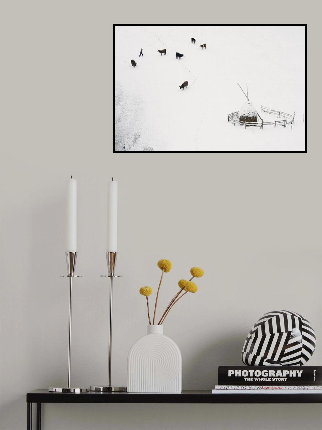 white confusion Poster och Canvastavla