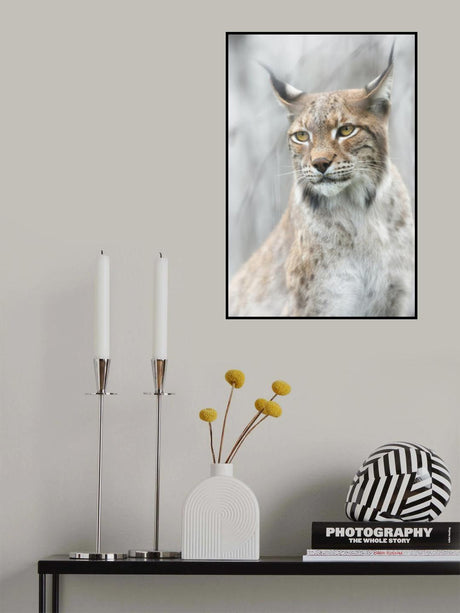 Lynx portrait in the fog Poster och Canvastavla