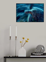 The Ghost Turtle Poster och Canvastavla