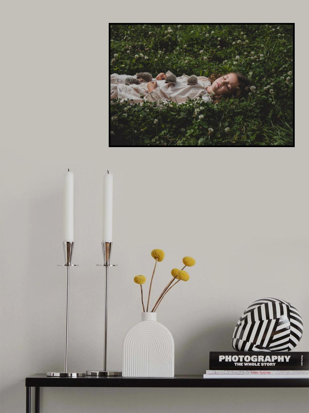 * Poster och Canvastavla