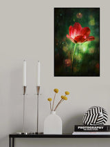 The Red Tulip Poster och Canvastavla