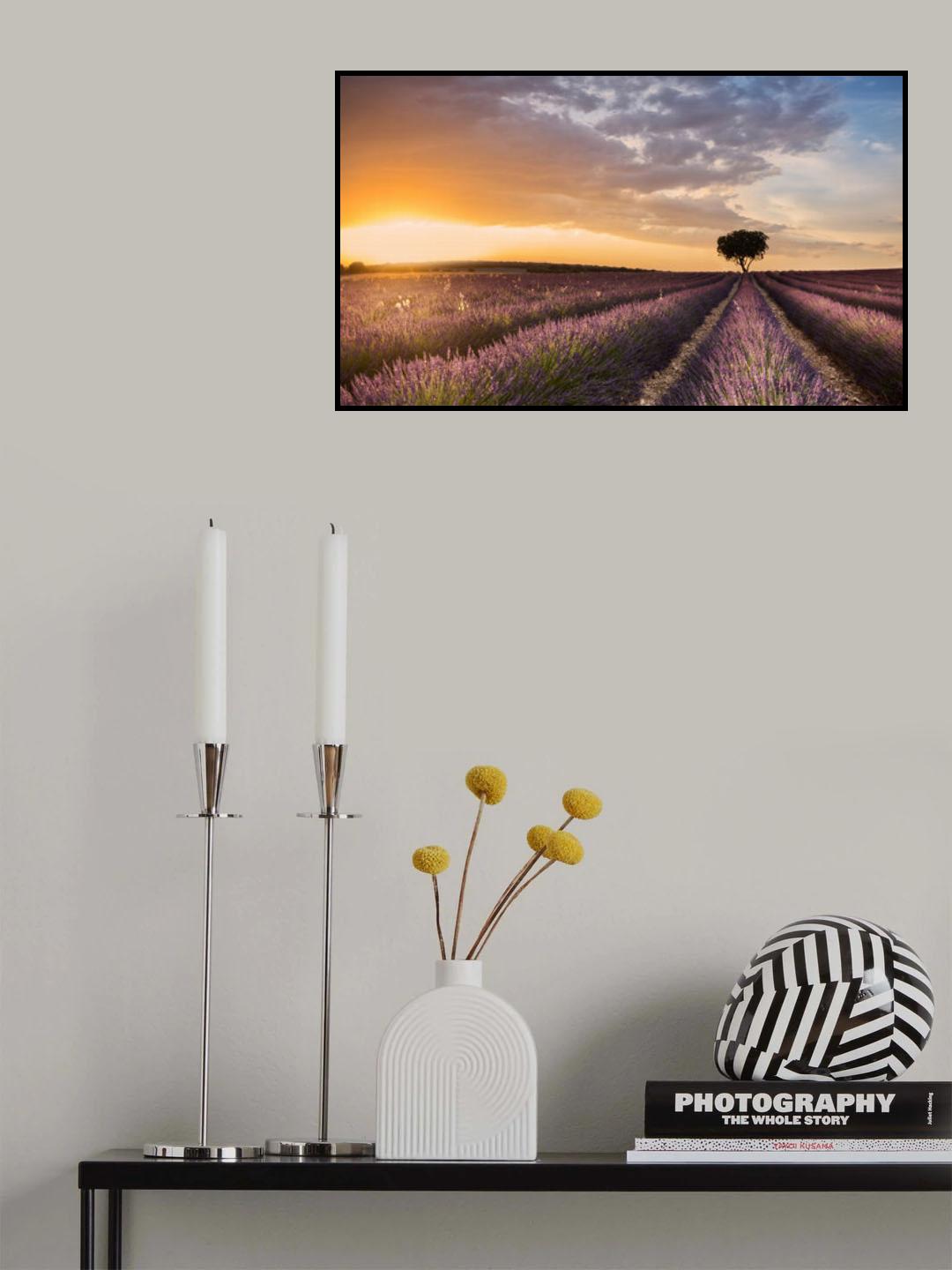 DESTINATION LAVENDER Poster och Canvastavla