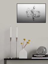 "Angelfishes" Poster och Canvastavla