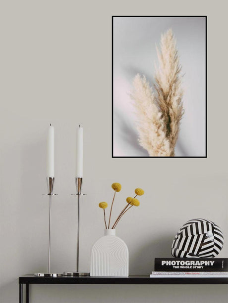 Pampas Grass Grey Poster och Canvastavla