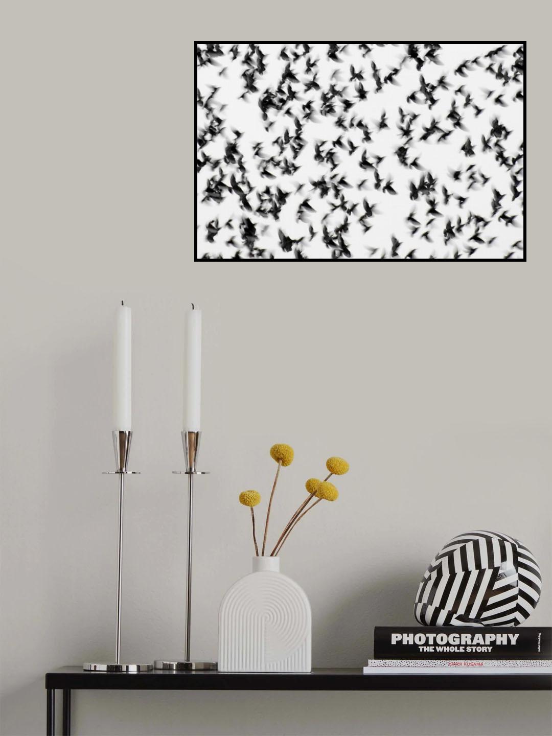 Frantic Poster och Canvastavla