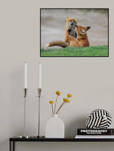 Playing with My Buddy (3) Poster och Canvastavla