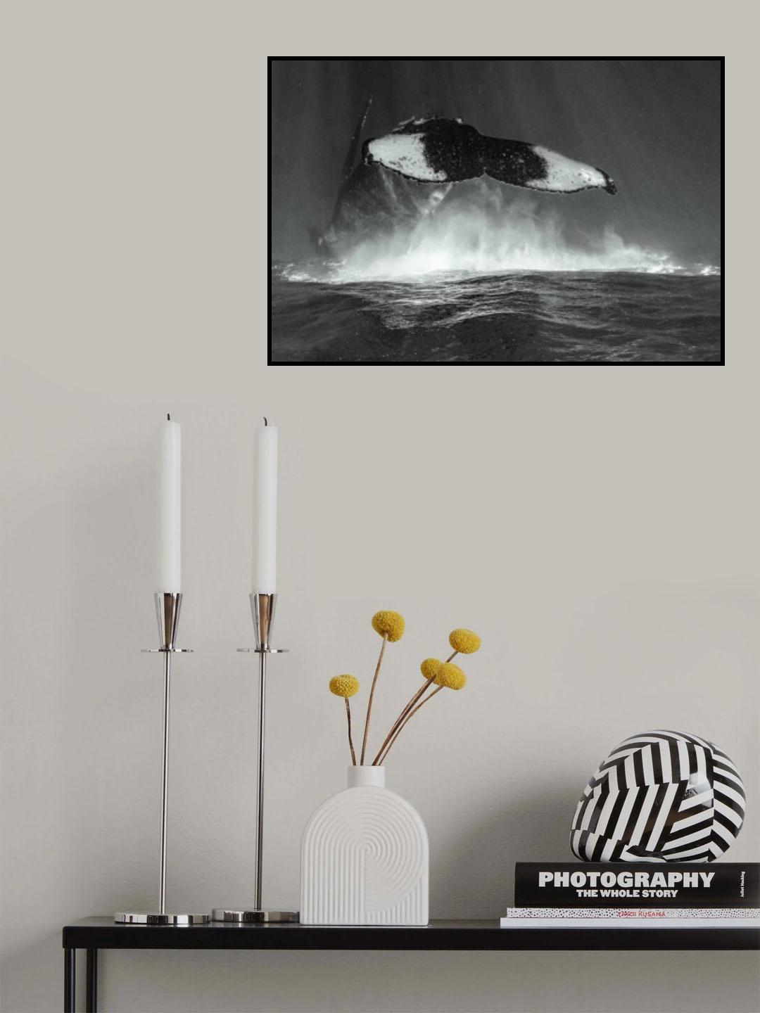 Tale of whales Poster och Canvastavla