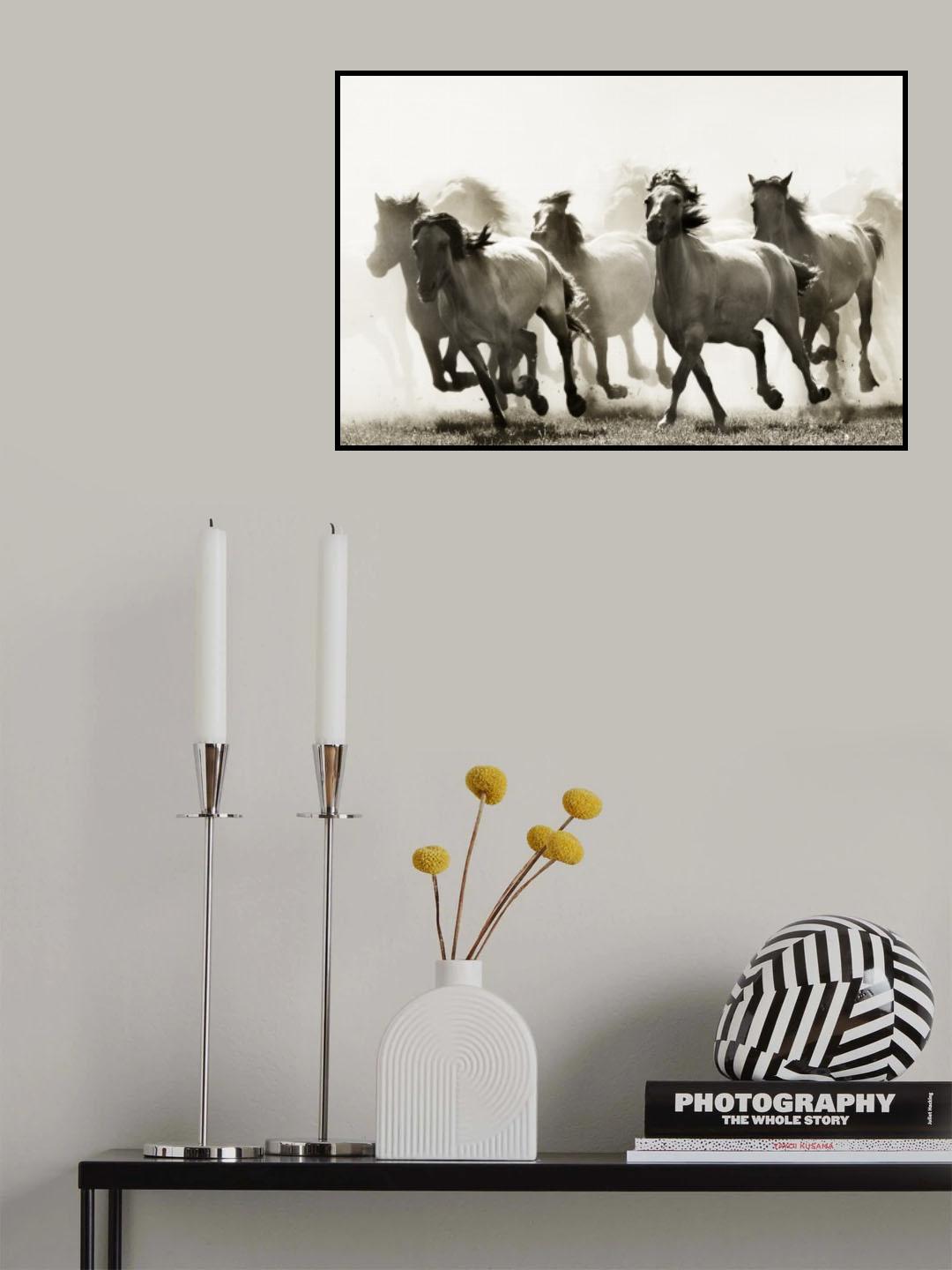 Horse Poster och Canvastavla