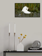Seeker Poster och Canvastavla