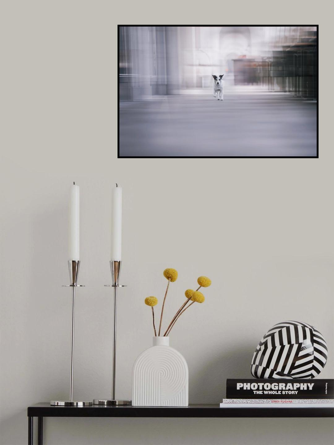 Everything in life is elusive Poster och Canvastavla