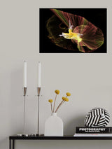 Dance with light Poster och Canvastavla