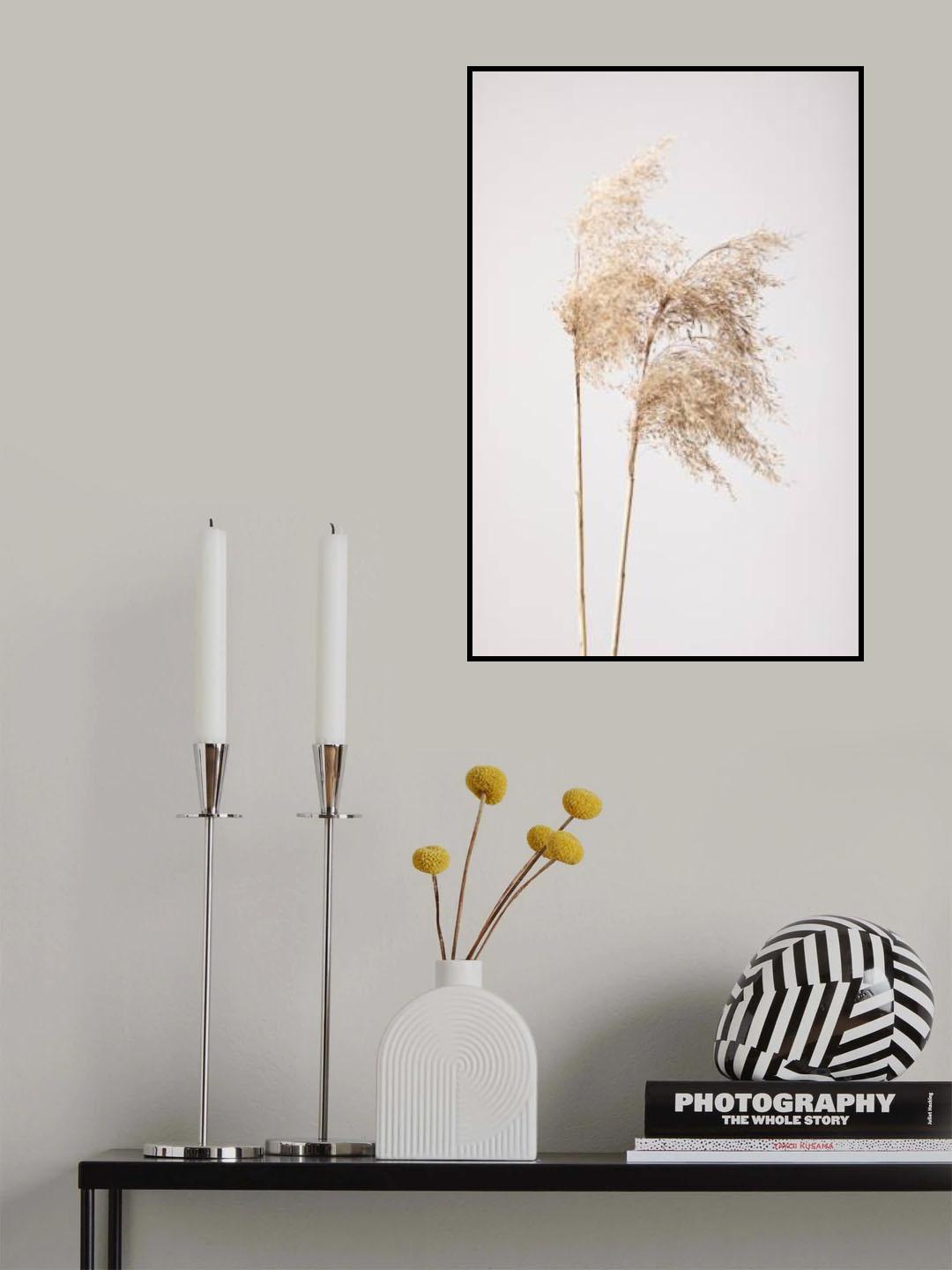 Reed Grass Grey 02 Poster och Canvastavla
