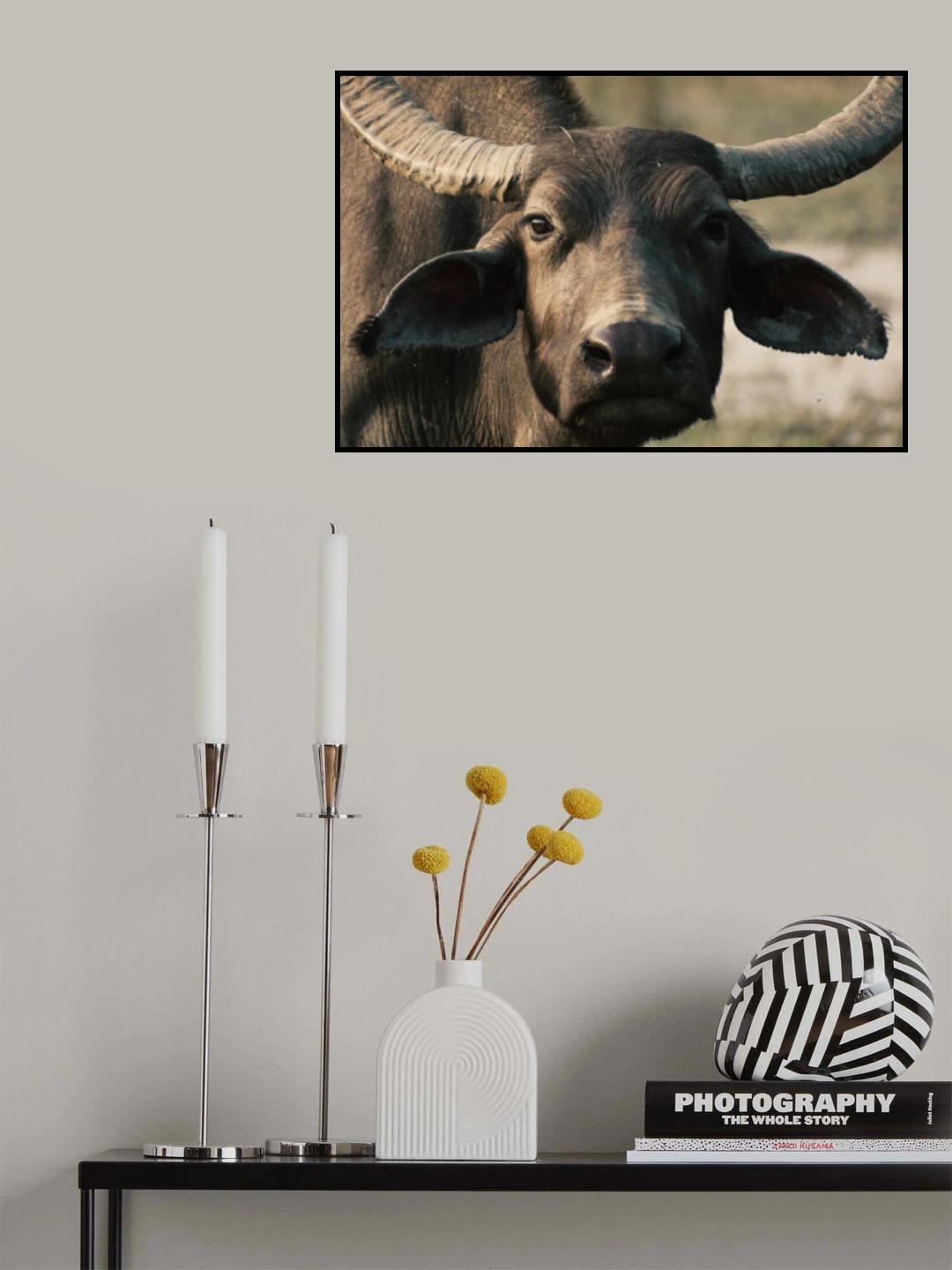 buff Poster och Canvastavla