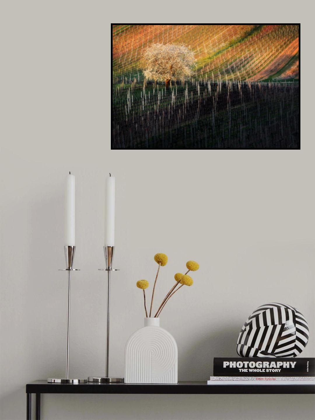Tree in Moravian Tuscany Poster och Canvastavla