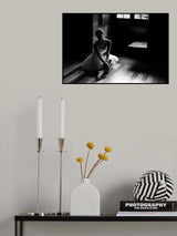 Shadows Poster och Canvastavla