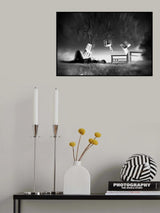 Poster och Canvastavla