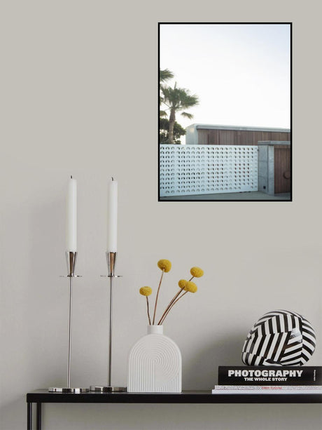 Plam Springs Poster och Canvastavla