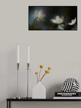 Light in the darkness Poster och Canvastavla