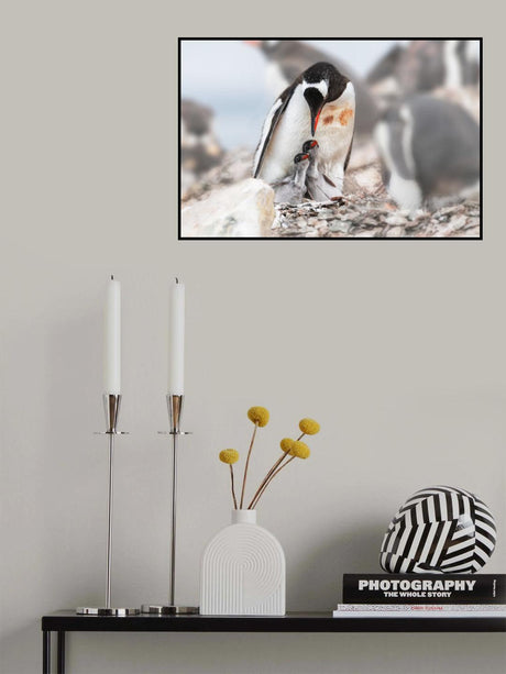 "Hello" Poster och Canvastavla
