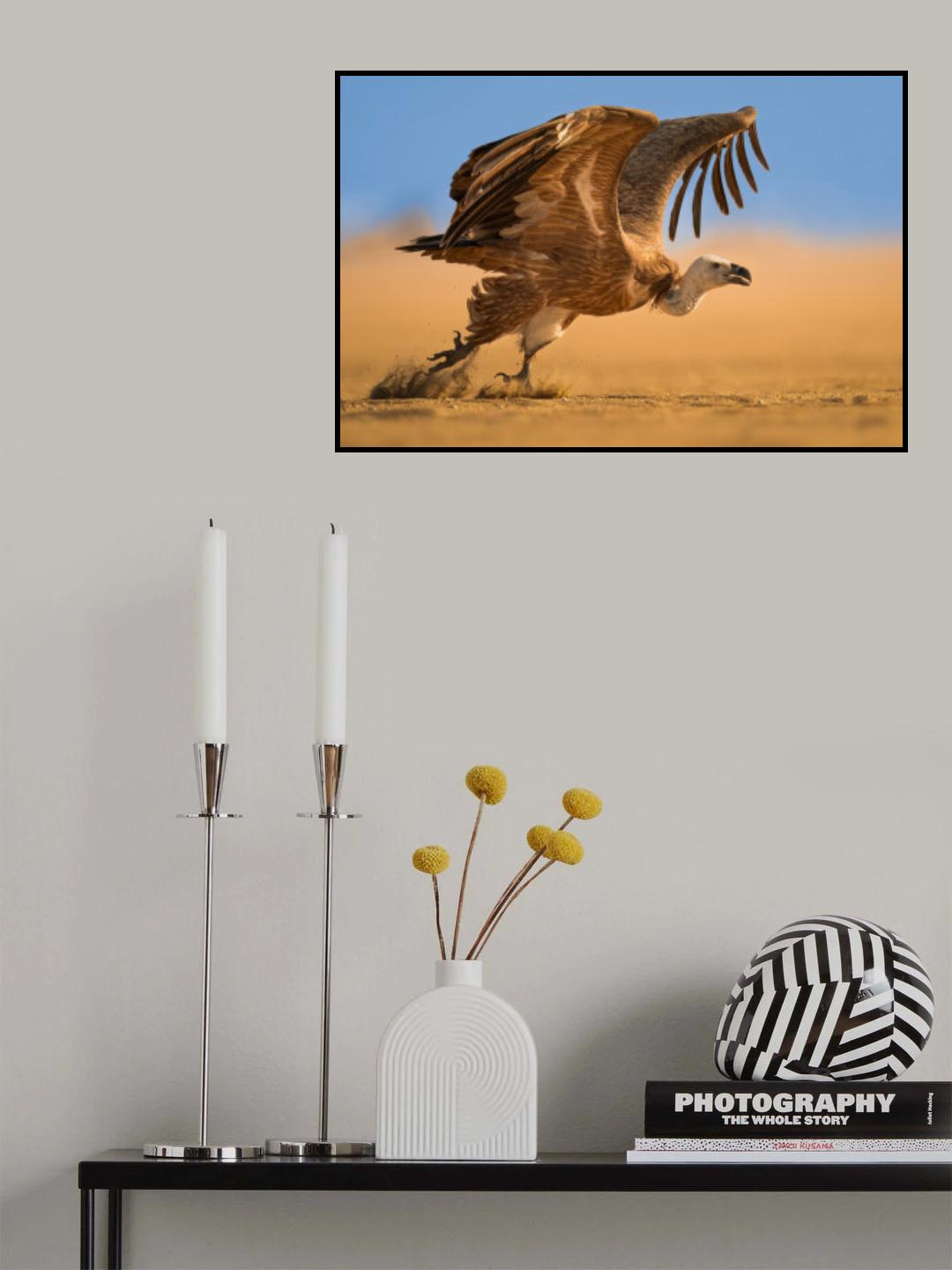 Take off Poster och Canvastavla
