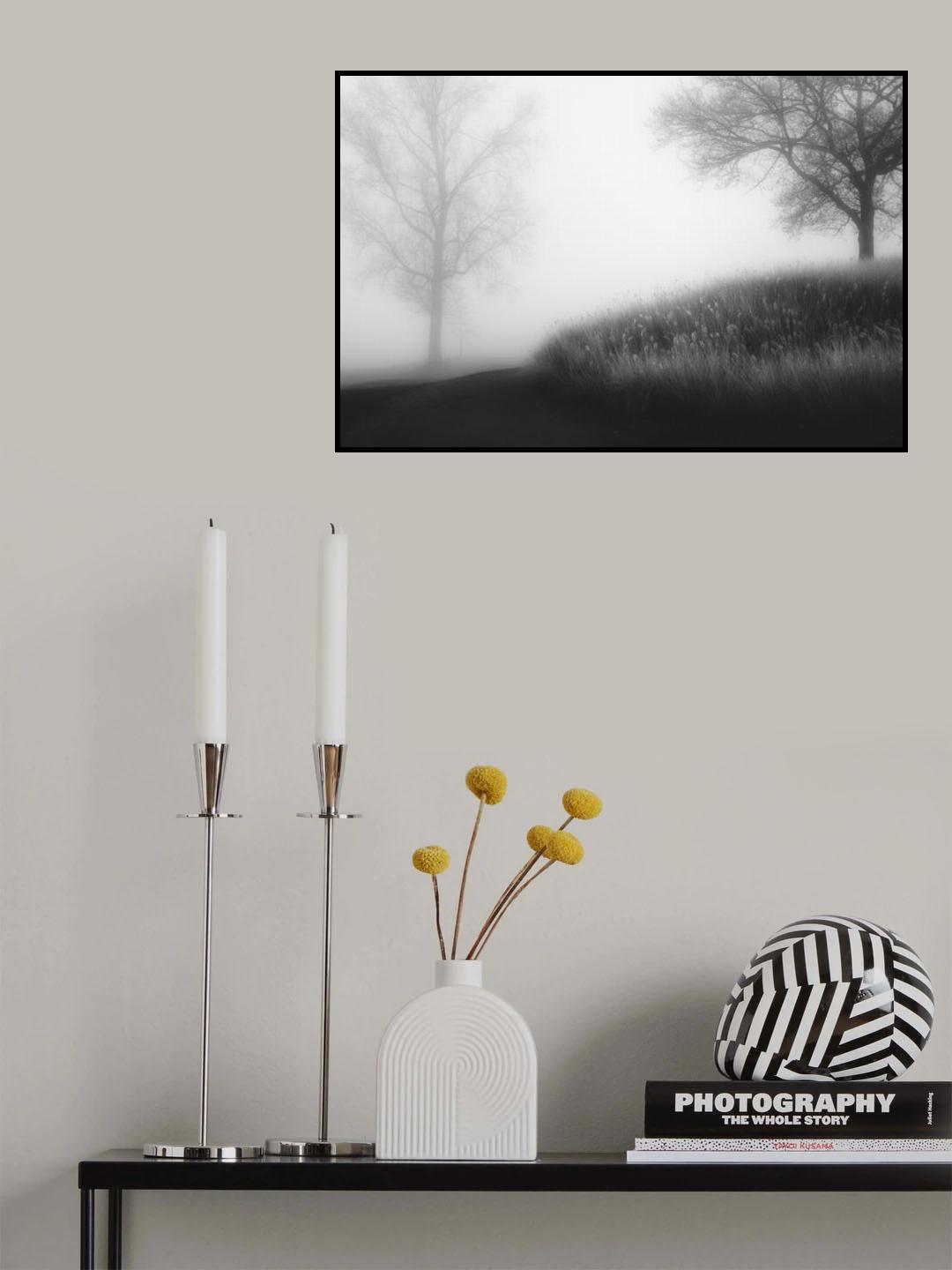 Foggy morning Poster och Canvastavla