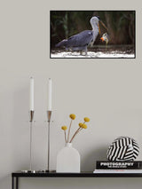 Oops ! Poster och Canvastavla